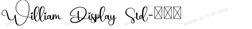 William Display Std字体转换